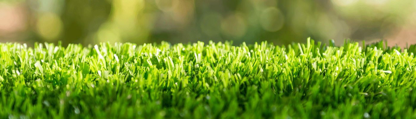 AGN GRASS