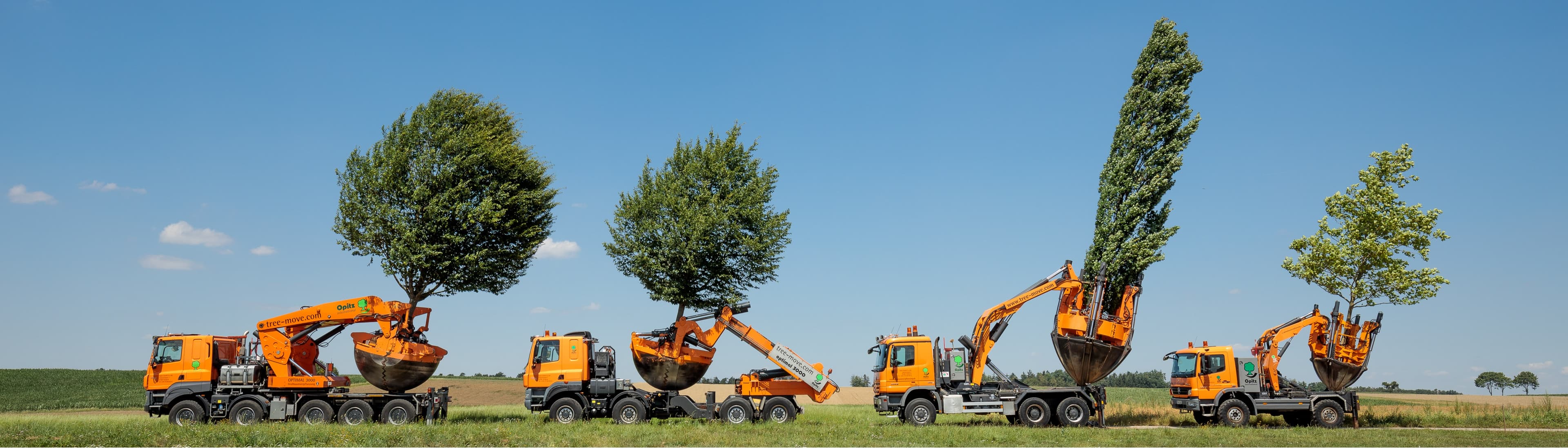 Opitz GmbH & Co. KG Großbaumverpflanzung