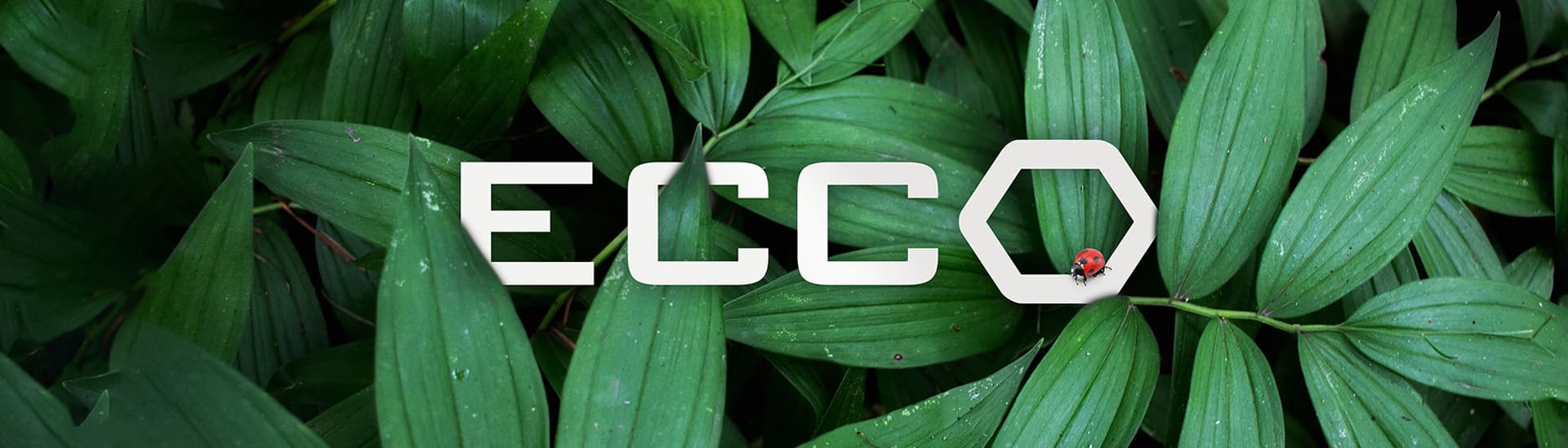 ECCO Products