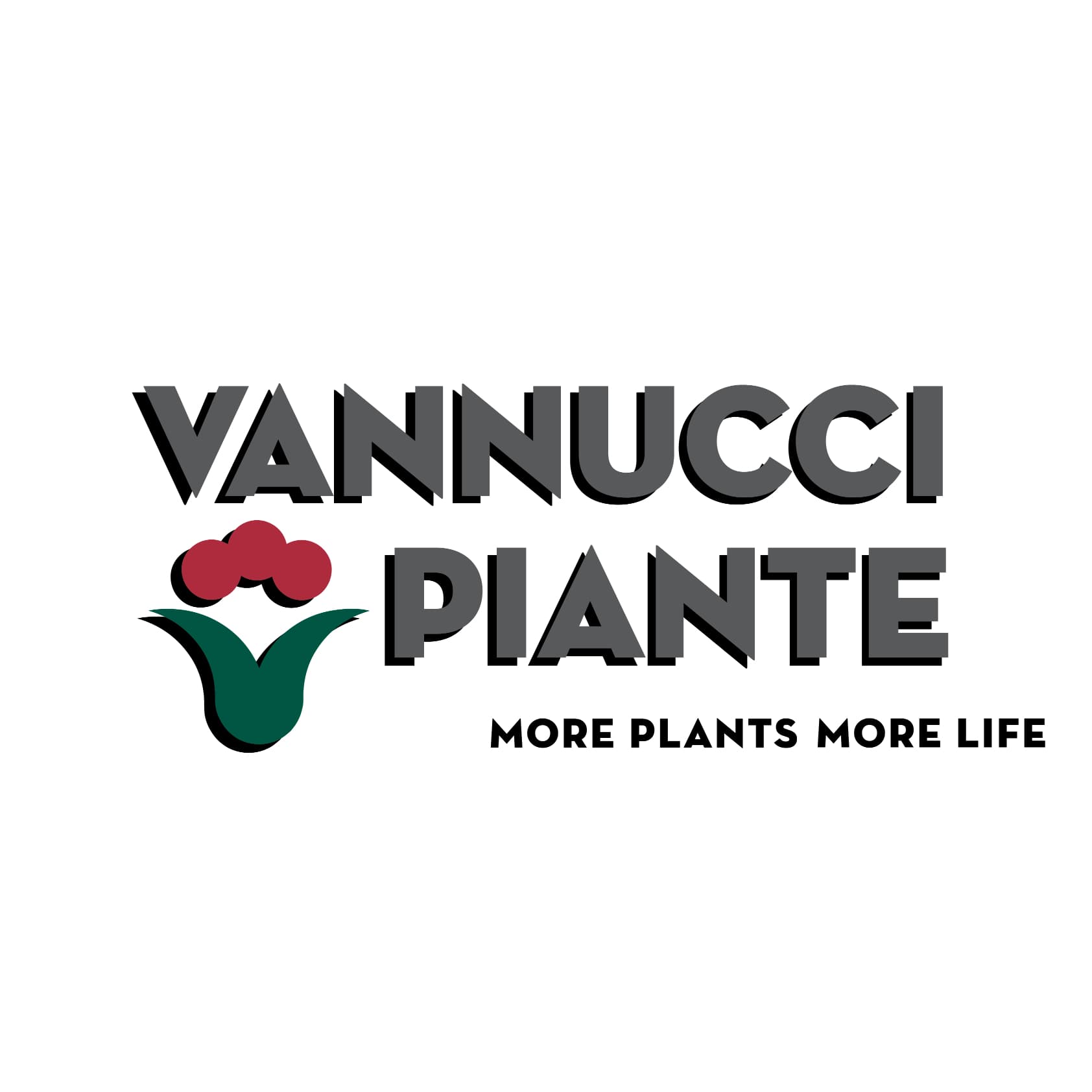 VANNUCCI PIANTE logo