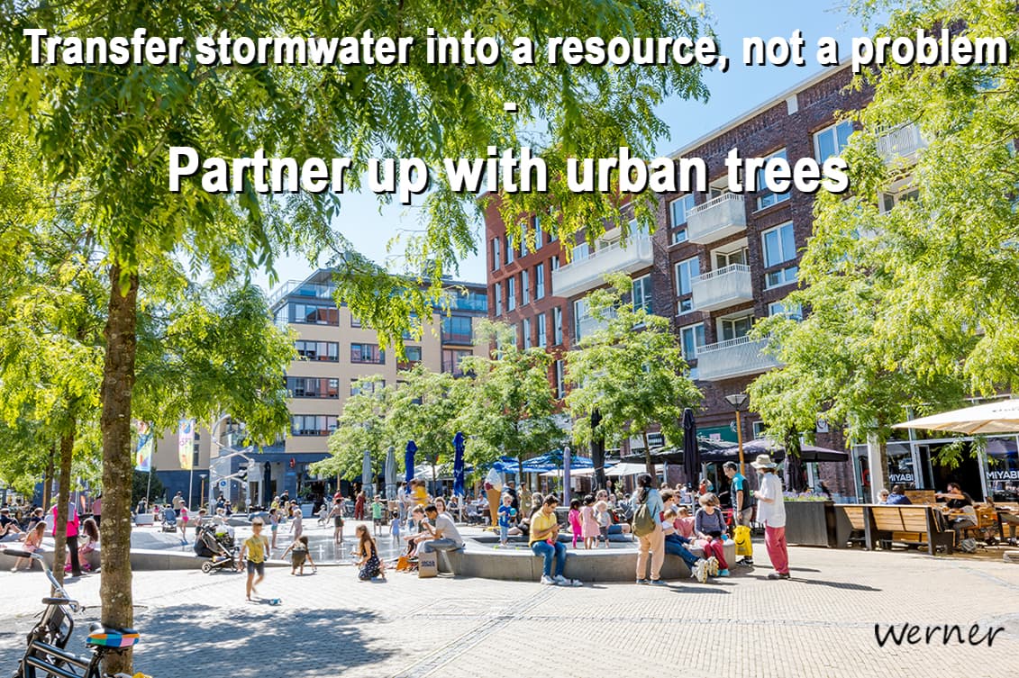 HTW treerootsystems