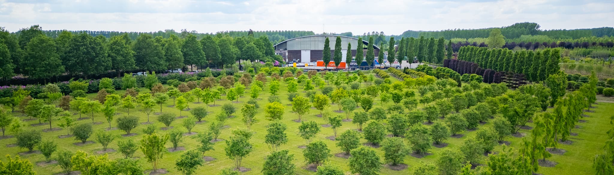 Van den Berk Nurseries