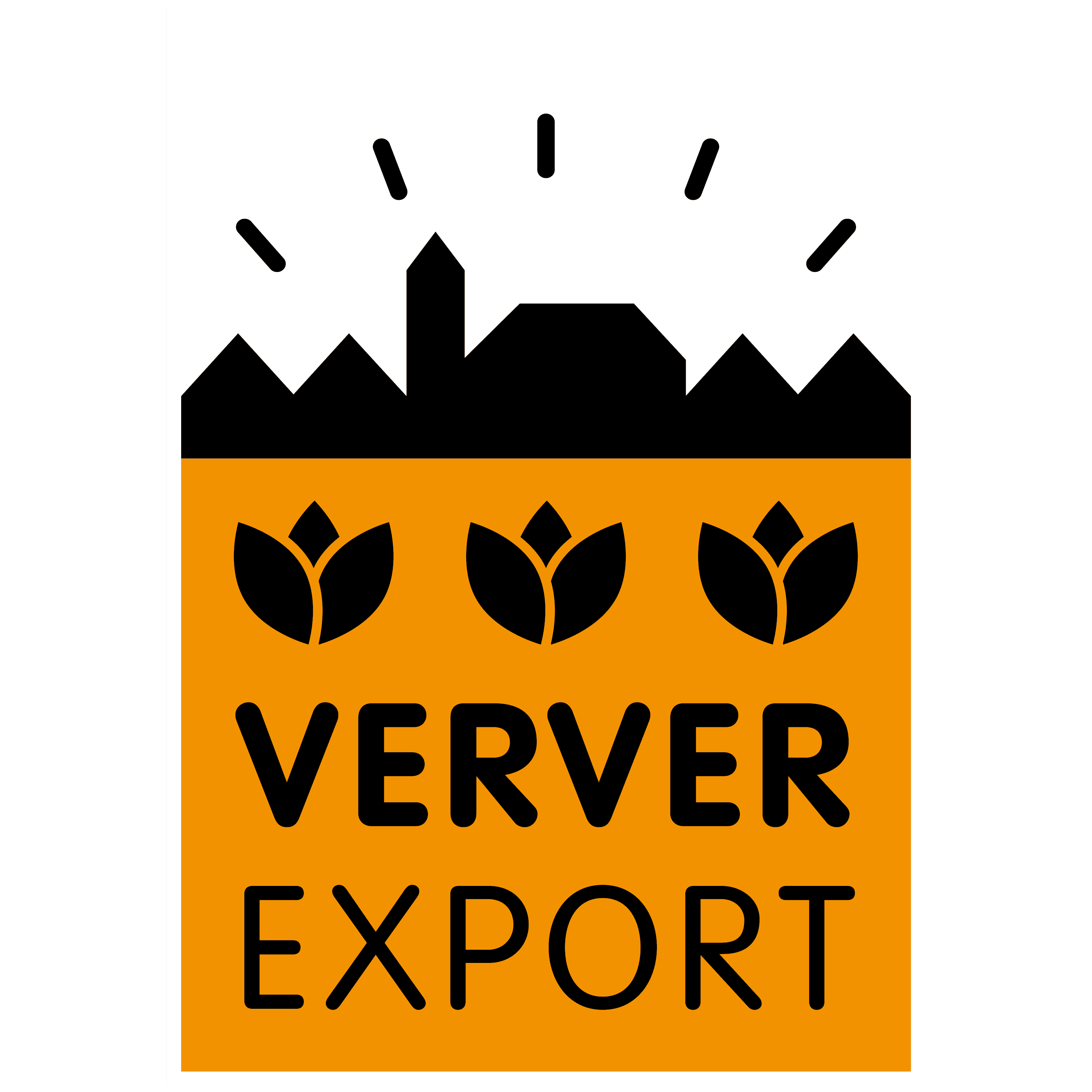 Verver Export GmbH logo