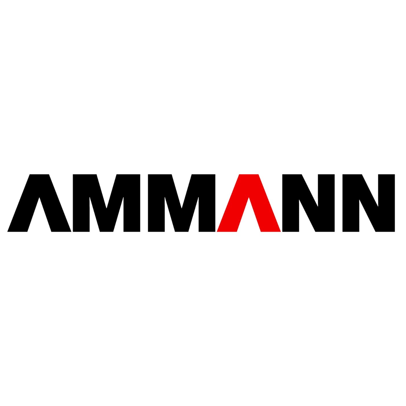 Ammann Verdichtung GmbH logo