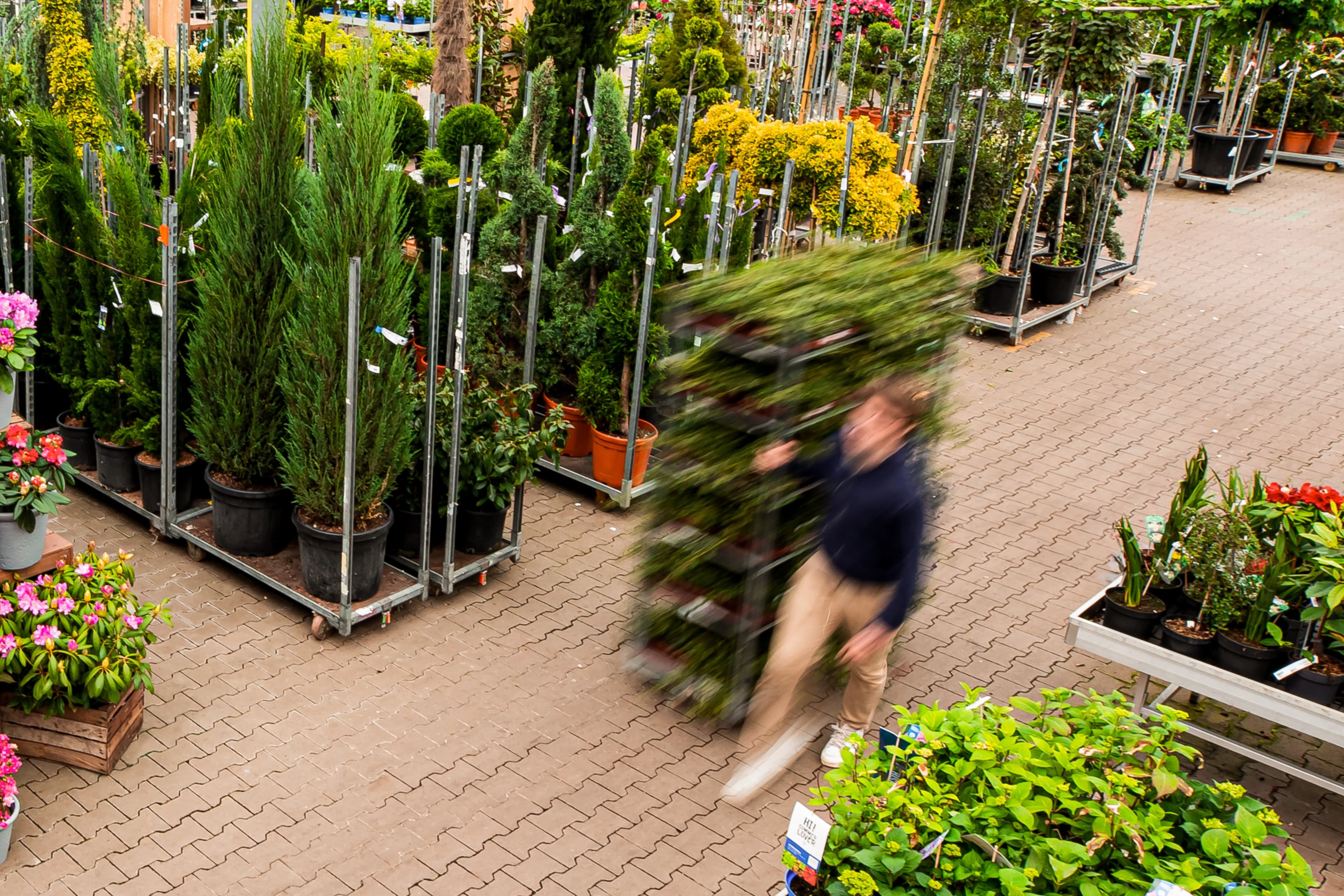 Landgard Blumen & Pflanzen GmbH
