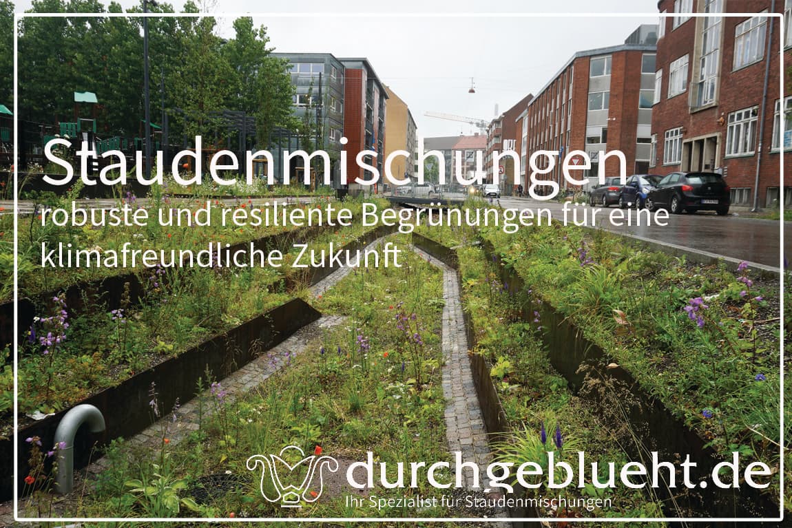 durchgeblueht.de