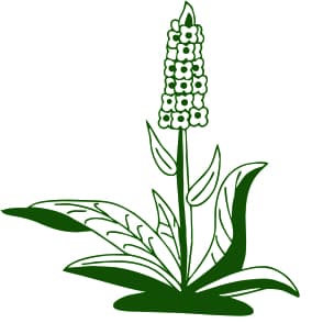 STAUDEN-IHM GMBH logo