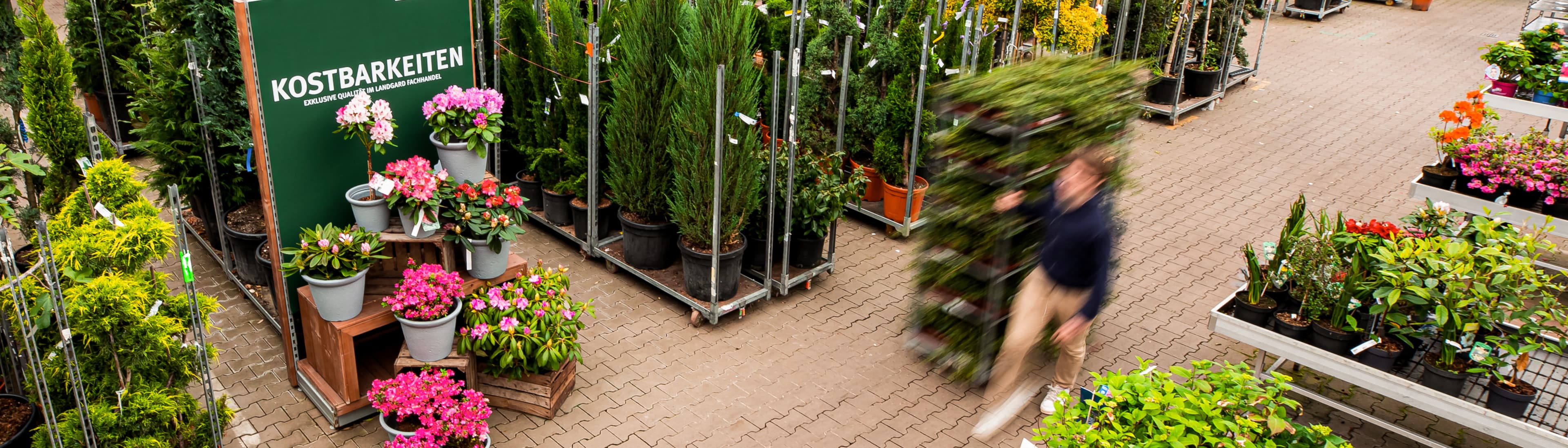 Landgard Blumen & Pflanzen GmbH