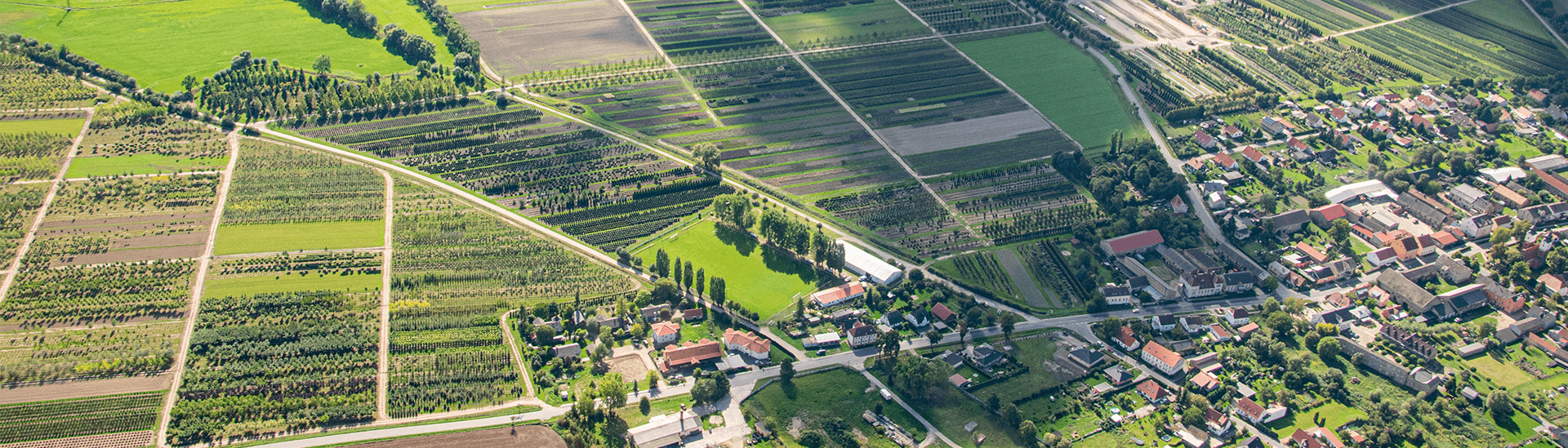 Lorberg Quality Plants