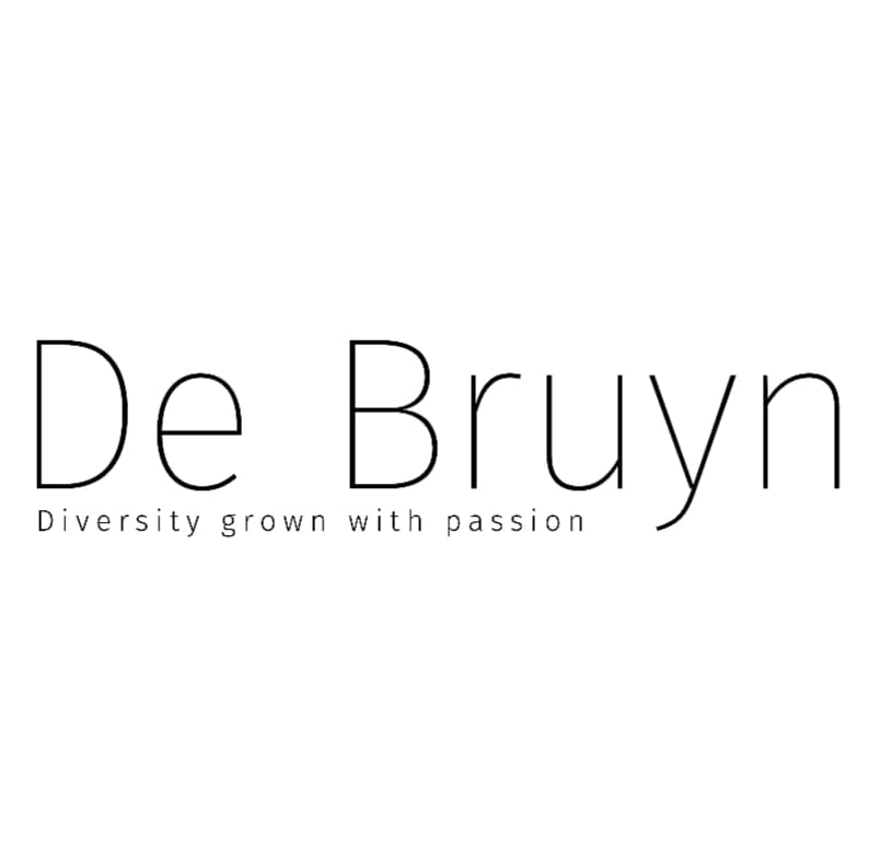 BV DE BRUYN logo