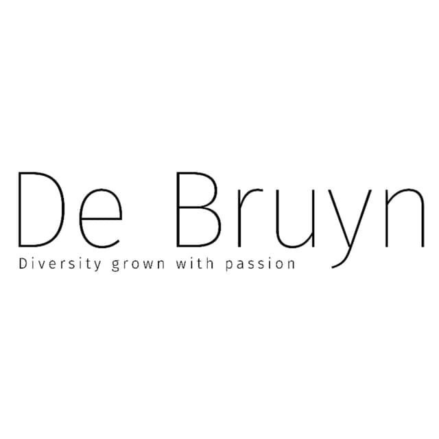 BV DE BRUYN logo