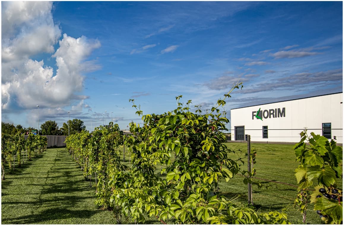 FLORIM