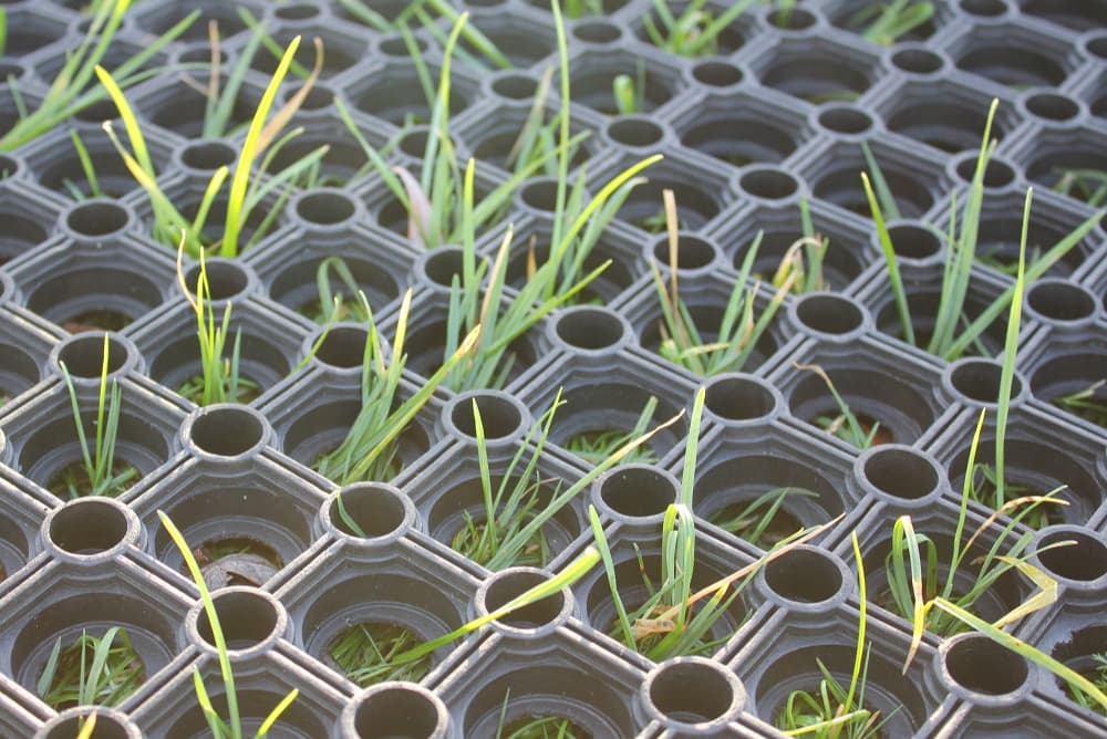 GRASS MATS EUROPE BV