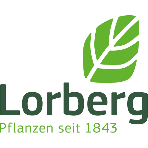 Lorberg Quality Plants logo