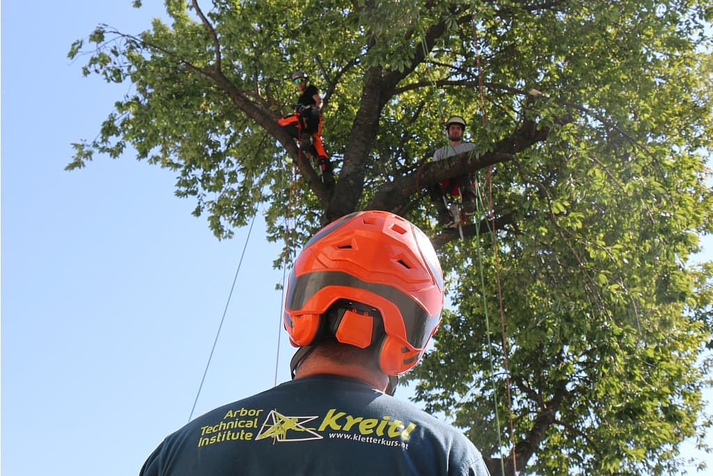 Arbor Technical Institute Kreitl