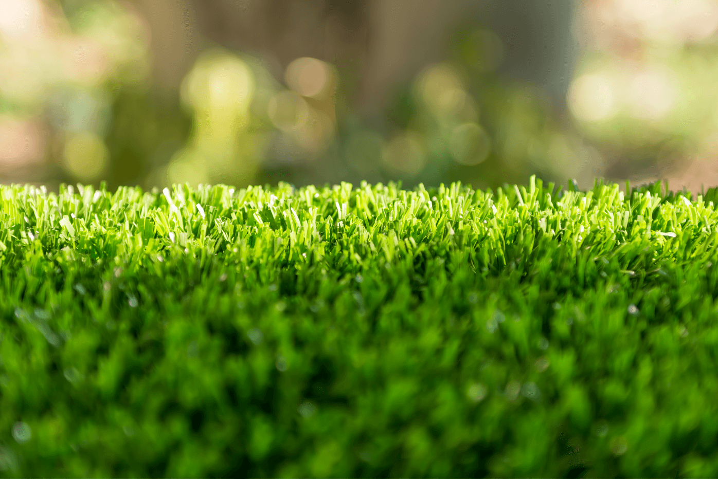 AGN GRASS