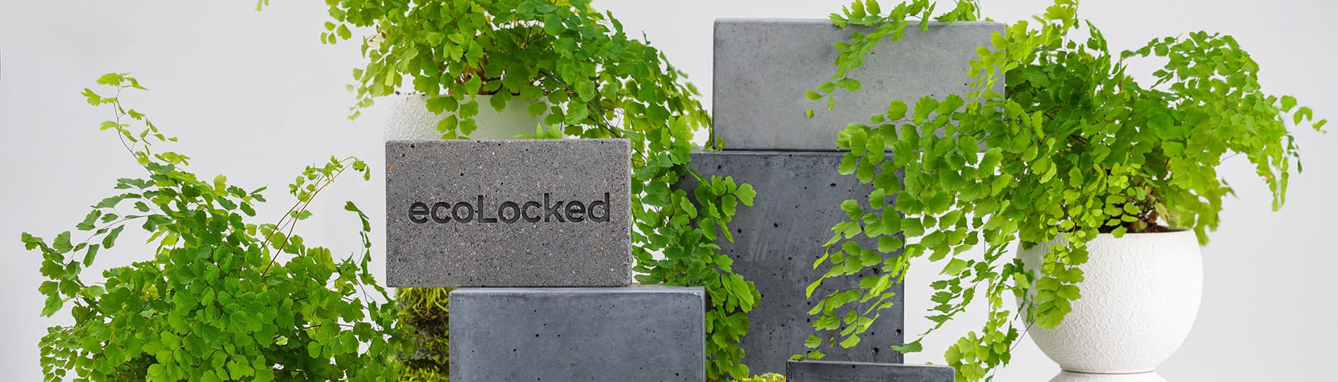 ecoLocked