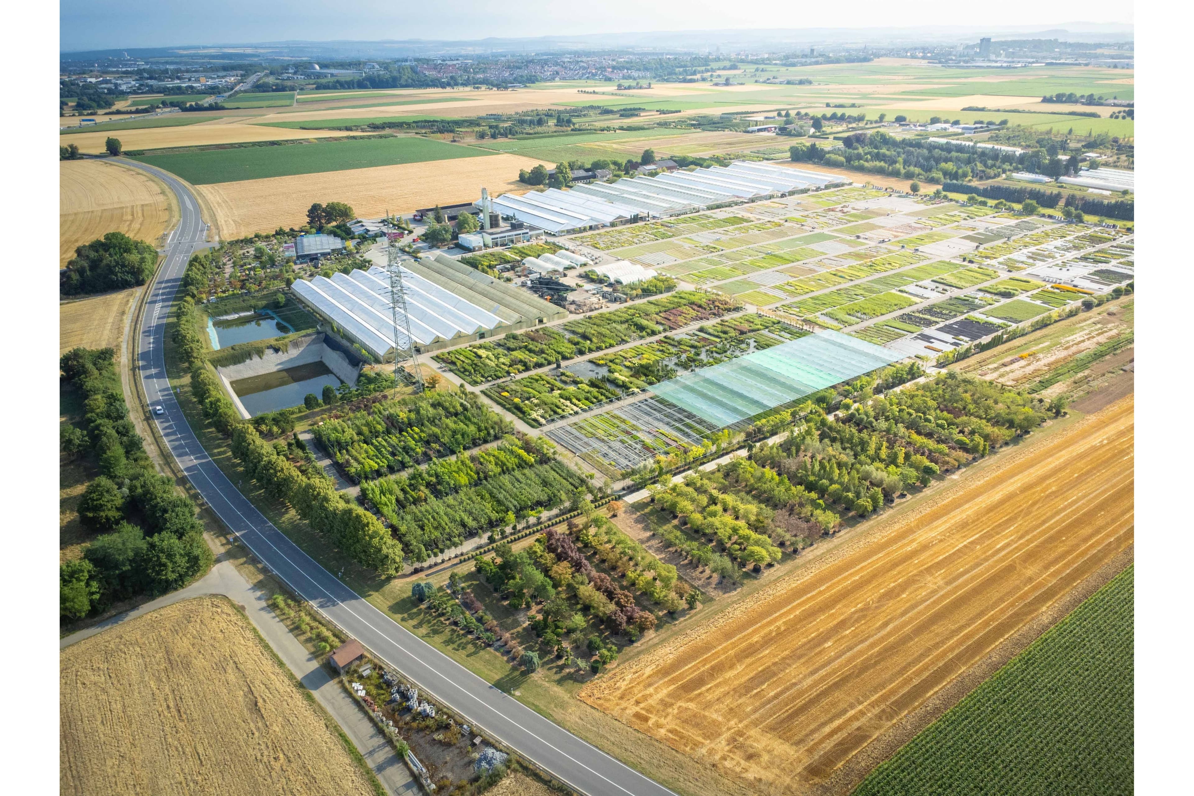Häussermann Stauden+Gehölze GmbH