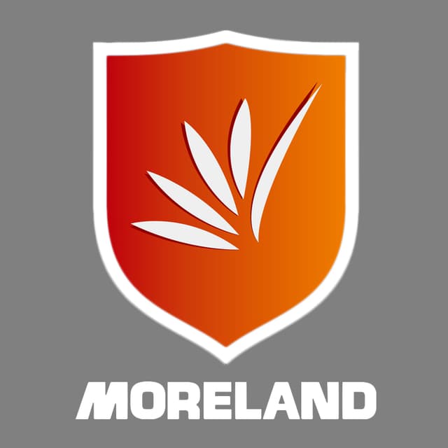 Qingdao Moreland Co., Ltd. logo