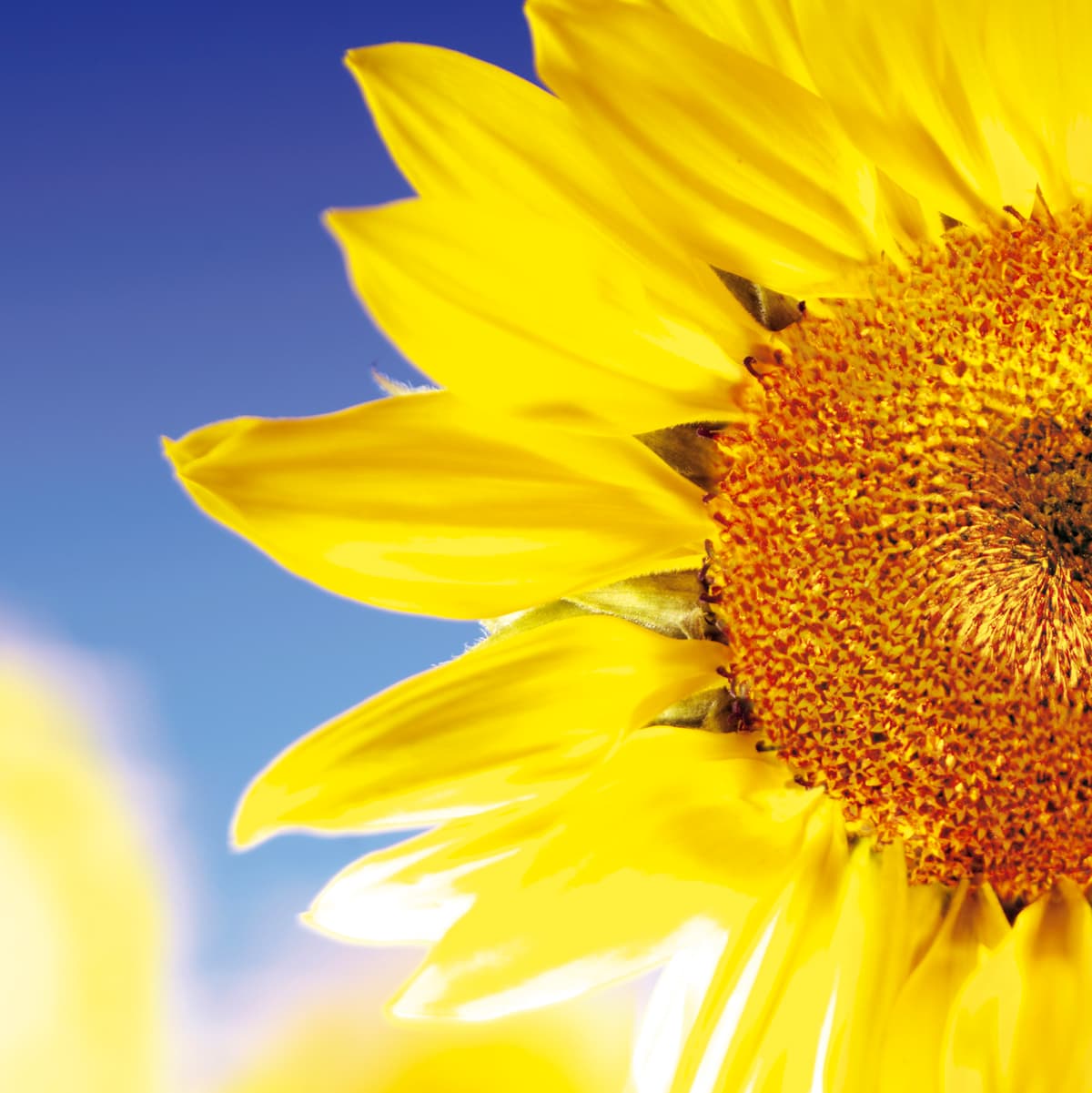 KANN GmbH Baustoffwerke logo