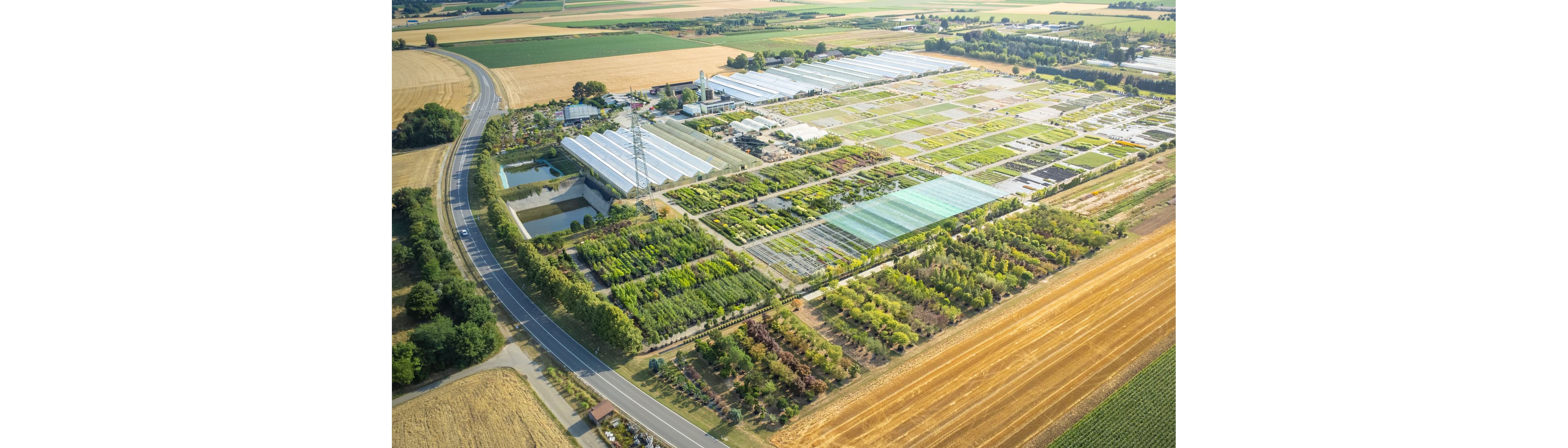 Häussermann Stauden+Gehölze GmbH