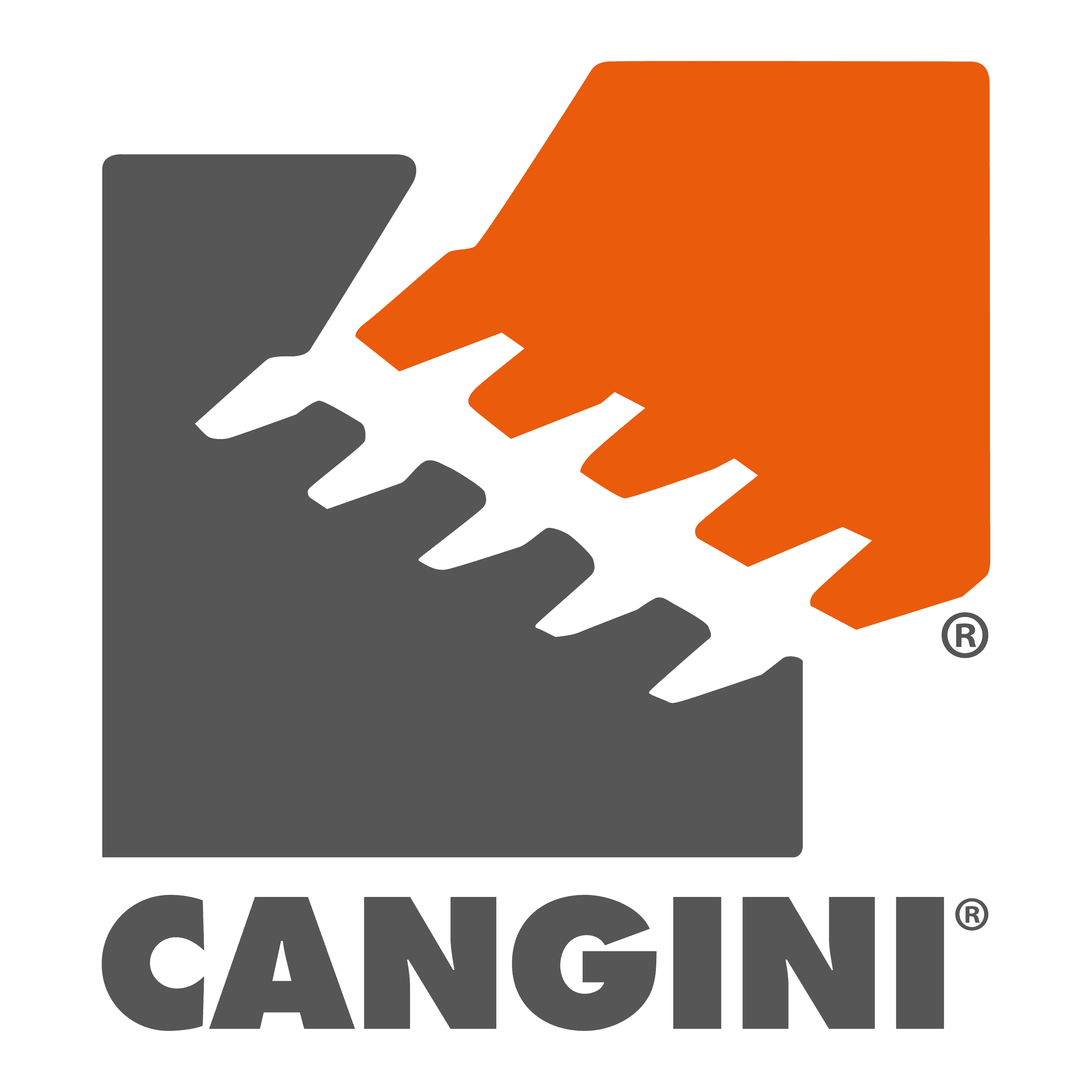 Cangini Benne Srl logo