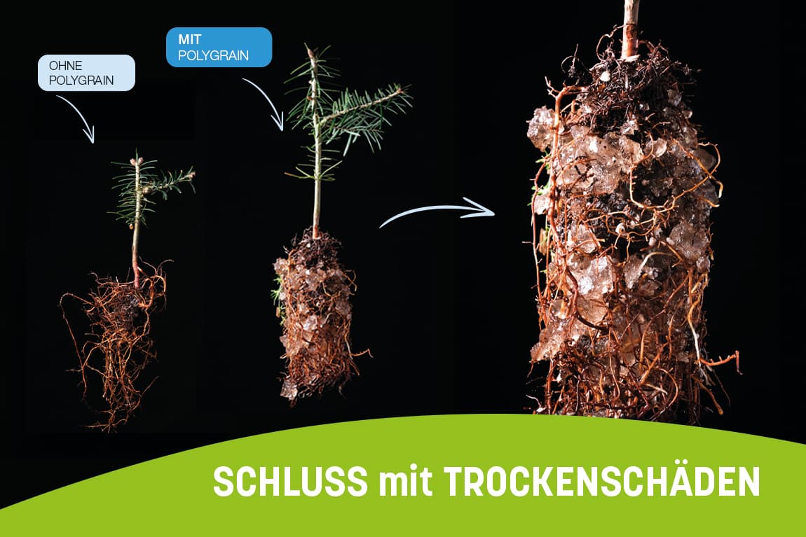 Green Legacy GmbH
