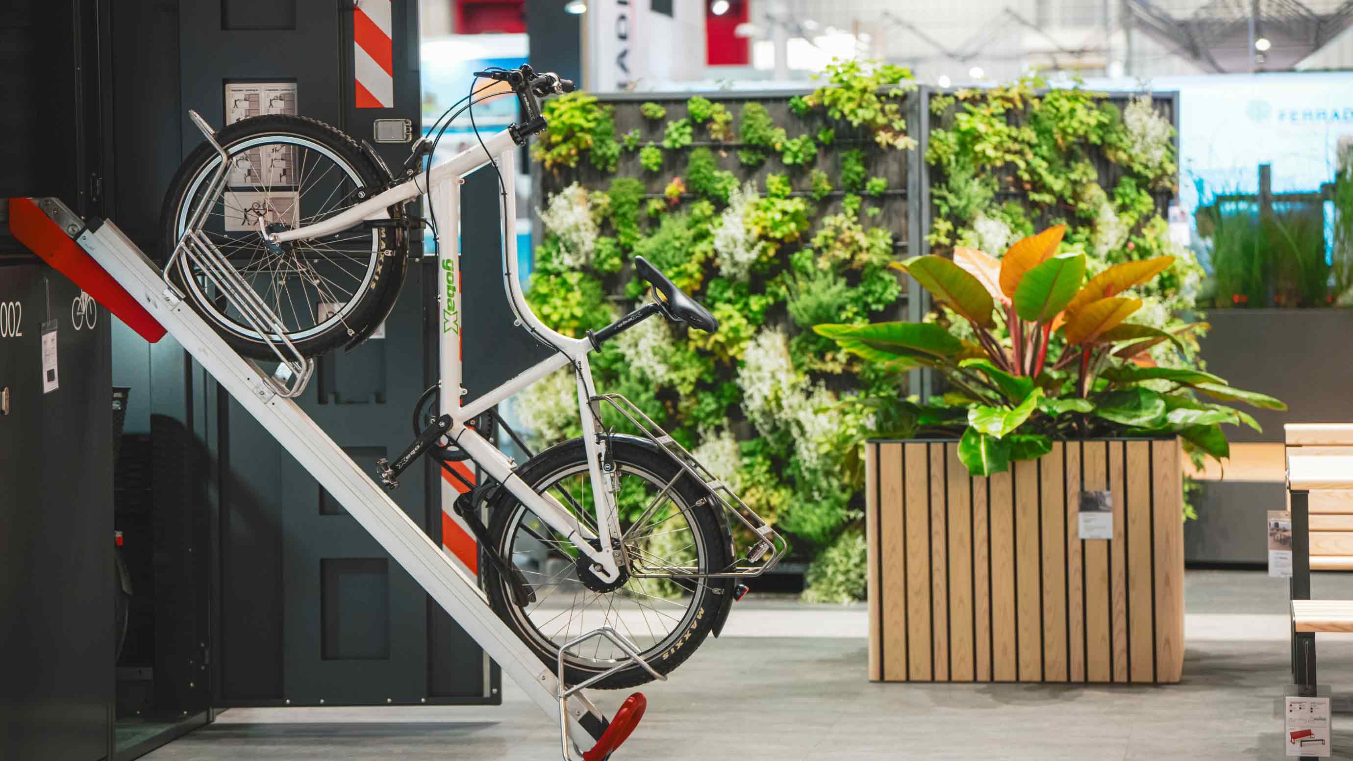 A bycicle infront of a plant