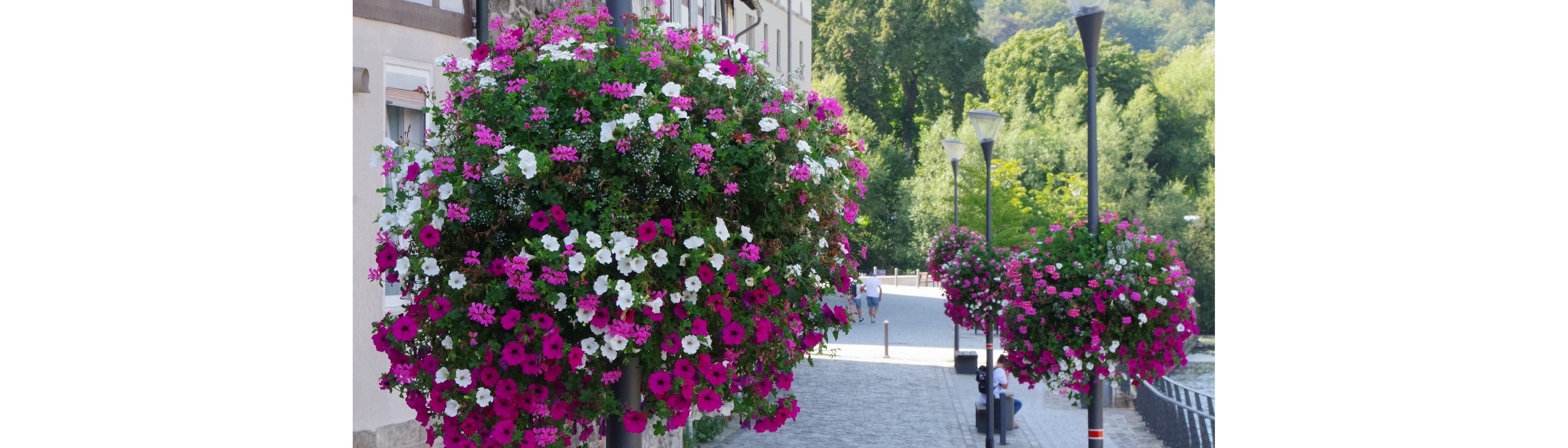 Flower and Shower GmbH