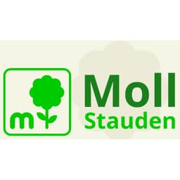 Moll Stauden GmbH