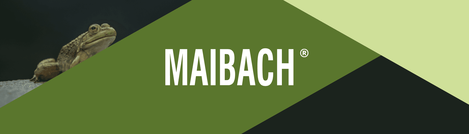 MAIBACH Verkehrssicherheits- und Lärmschutzeinrichtungen GmbH