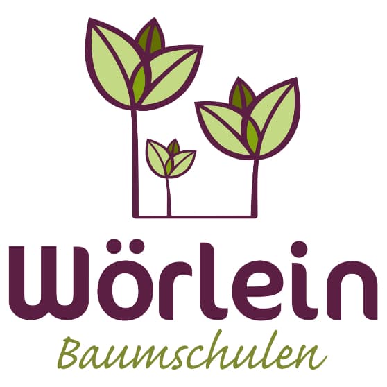 Wörlein Baumschulen GmbH logo