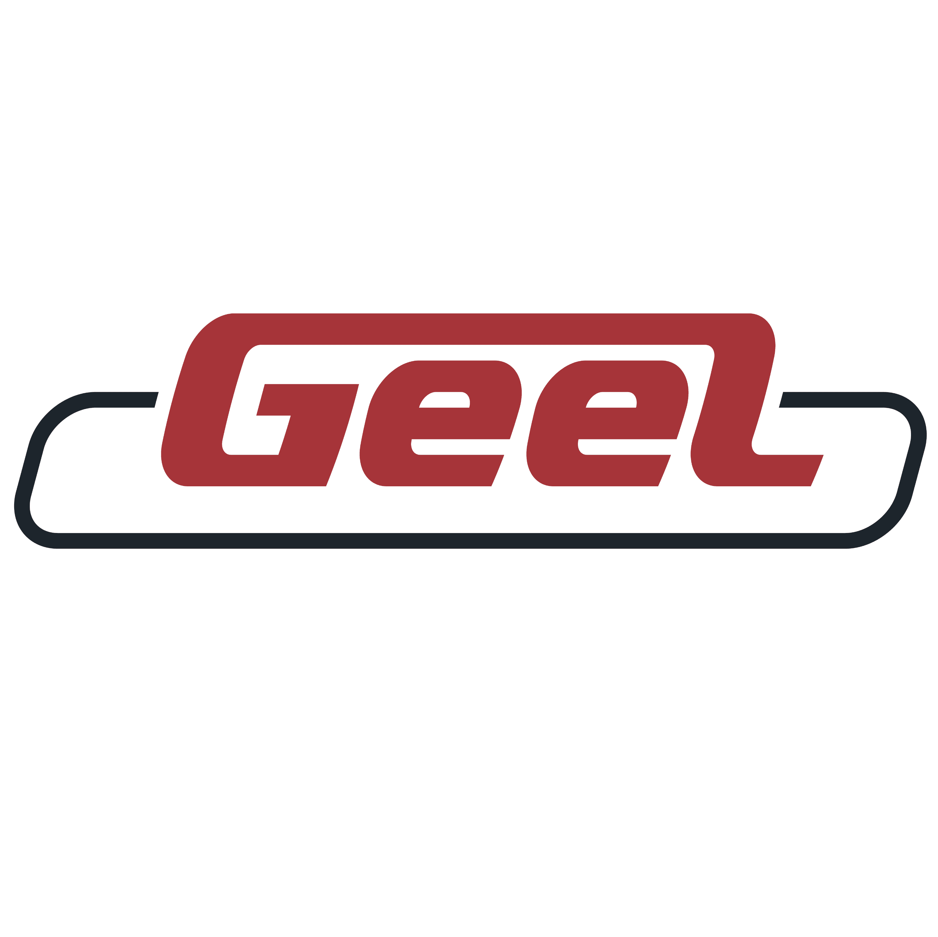 GEEL Austria GmbH logo