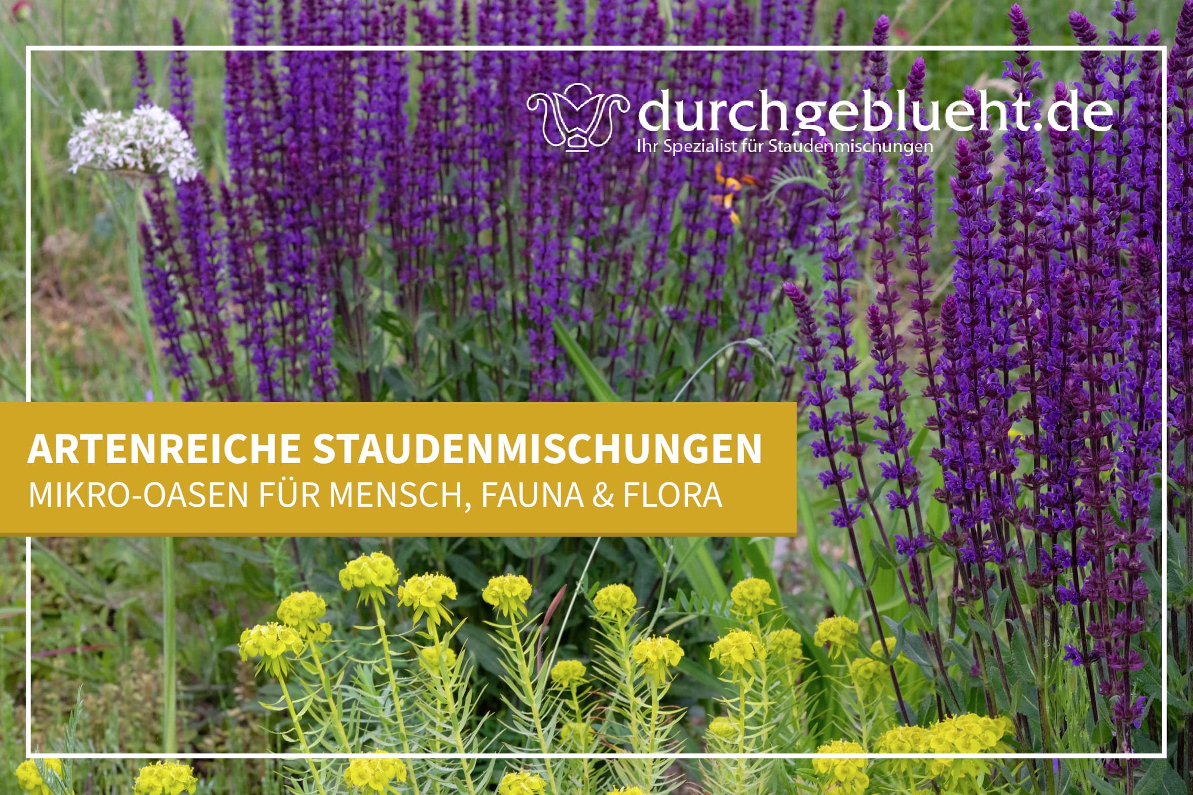 durchgeblueht.de