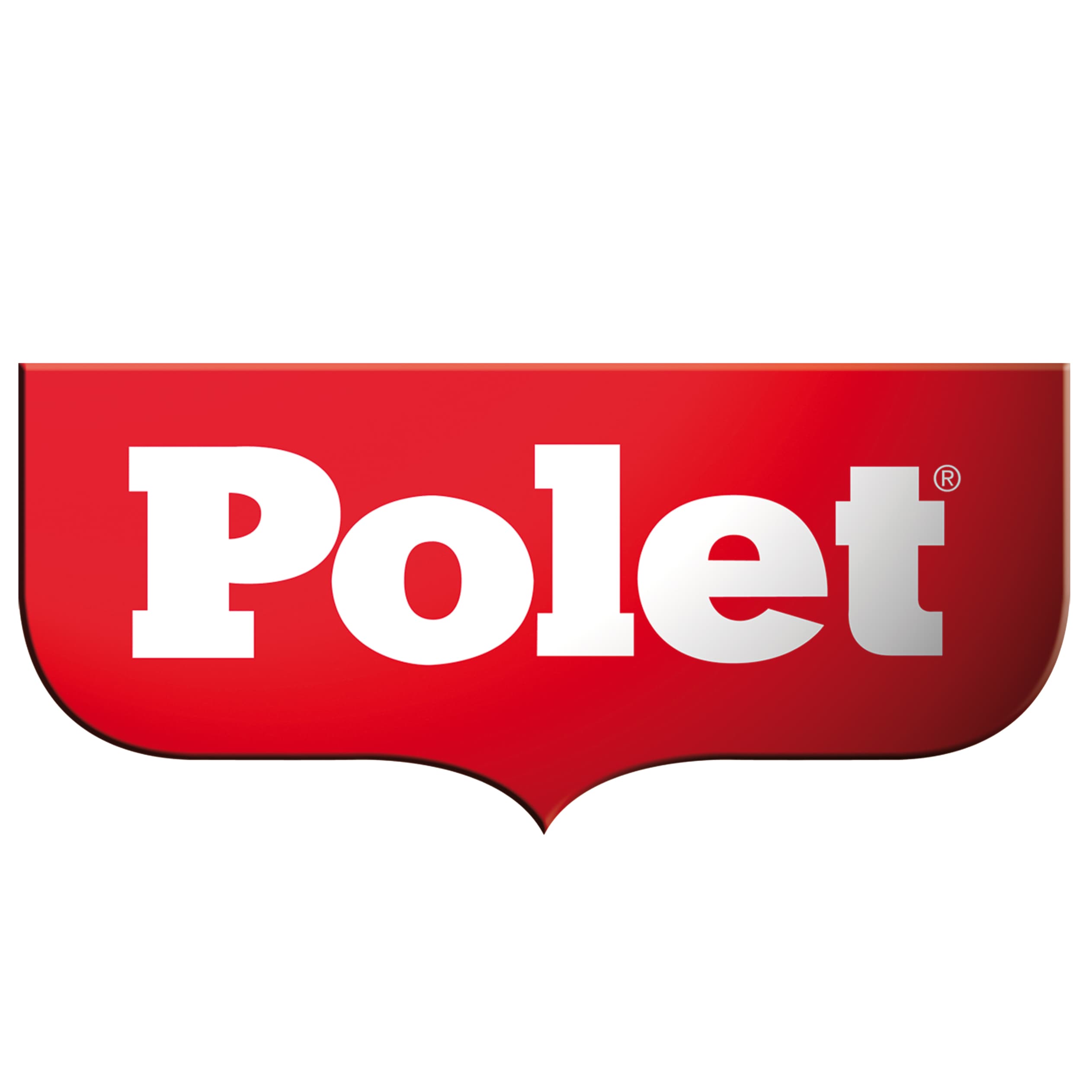 PoletDePypere Company NV logo