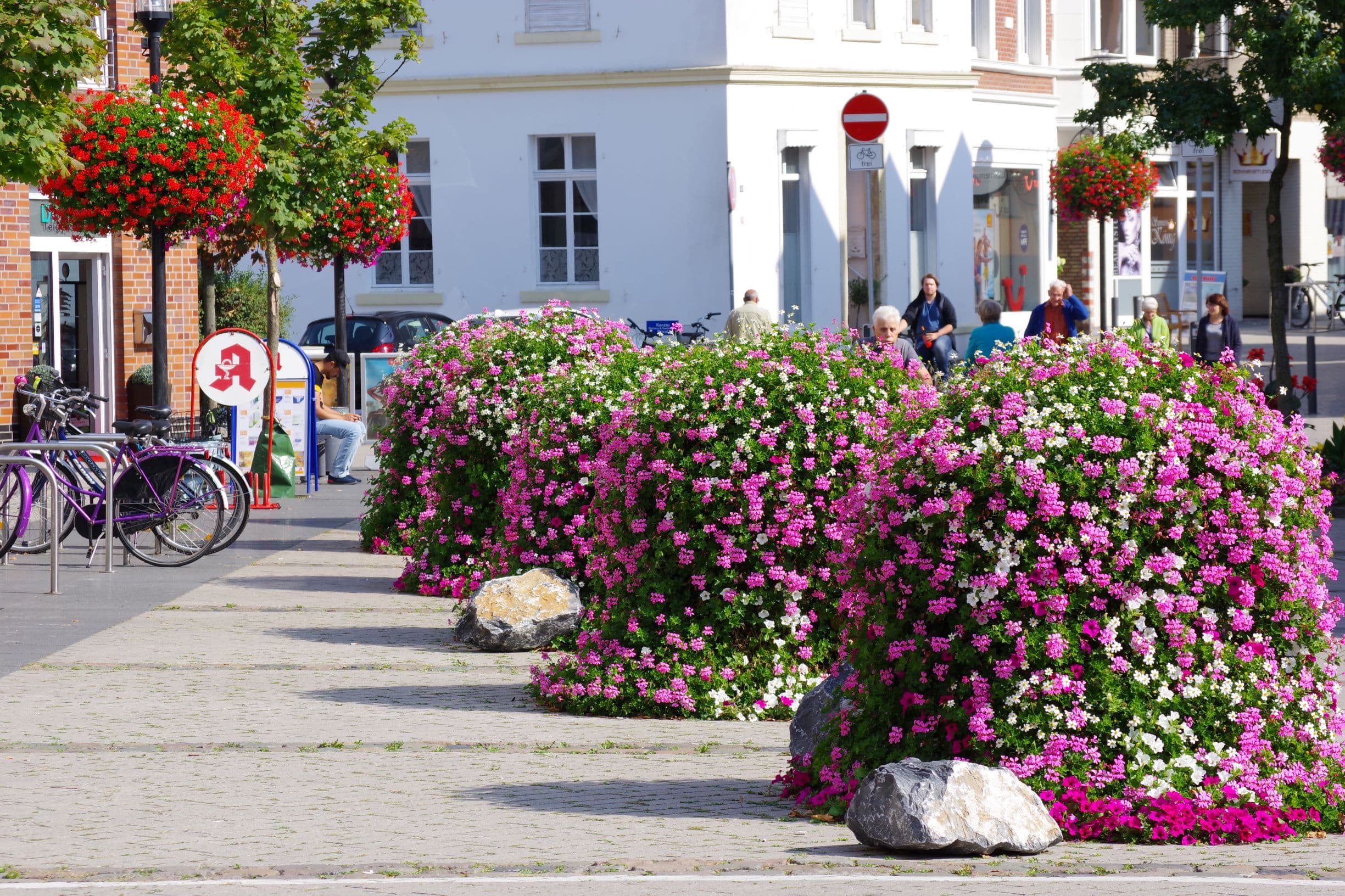 Flower and Shower GmbH